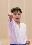 Phönix Cup, Staufen, 2024, Schweiz, Kata, Shukokai Dojo Wetzikon, Ron Nyffenegger