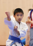 Phönix Cup, Staufen, 2024, Schweiz, Kata, Shinsei Kan Lenzburg, Louis Nguyen