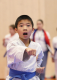 Phönix Cup, Staufen, 2024, Schweiz, Kata, Shinsei Kan Lenzburg, Louis Nguyen