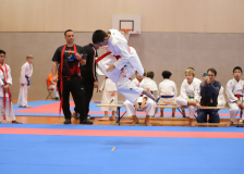 Phönix Cup, Staufen, 2024, Schweiz, Kata, Shukokai Dojo Wetzikon, Colin McGuinness