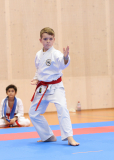 Karate Club Niko-Wholen, Phönix Cup, Staufen, 2024, Schweiz, Kata