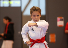 Phönix Cup, Staufen, 2024, Schweiz, Kata, Shukokai Dojo Wetzikon, Julia Weiss