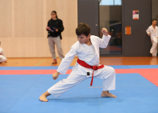 Phönix Cup, Staufen, 2024, Schweiz, Kata, Shukokai Dojo Wetzikon, Jori Tahiri