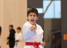 Phönix Cup, Staufen, 2024, Schweiz, Kata, Shukokai Dojo Wetzikon, Arian Ajvazi