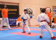 Phönix Cup, Staufen, 2024, Schweiz, Kumite, Shukokai Dojo Wetzikon, Shinsei Kan Lenzburg, Lionel Wild, Miraz Karaman