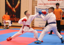Phönix Cup, Staufen, 2024, Schweiz, Kumite, Shukokai Dojo Wetzikon, Andrei Negara, Neo Fuchs, Karate-Do Balsthal