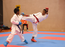 Phönix Cup, Staufen, 2024, Schweiz, Kumite, Shukokai Dojo Wetzikon, Mariano Montilla, Adesh Mahendran, Shinsei Kan Lenzburg