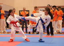 Phönix Cup, Staufen, 2024, Schweiz, Kumite, Shukokai Dojo Wetzikon, Team, Hayabusa Karate Do Basel