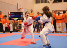 Phönix Cup, Staufen, 2024, Schweiz, Kumite, Shukokai Dojo Wetzikon, Team, Hayabusa Karate Do Basel