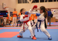 Phönix Cup, Staufen, 2024, Schweiz, Kumite, Shukokai Dojo Wetzikon, Team, Hayabusa Karate Do Basel