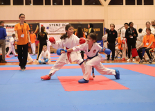 Phönix Cup, Staufen, 2024, Schweiz, Kumite, Shukokai Dojo Wetzikon, Team, Hayabusa Karate Do Basel