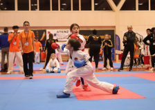 Phönix Cup, Staufen, 2024, Schweiz, Kumite, Shukokai Dojo Wetzikon, Team, Hayabusa Karate Do Basel