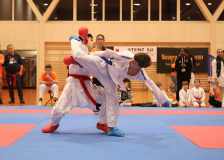 Phönix Cup, Staufen, 2024, Schweiz, Kumite, Shukokai Dojo Wetzikon, Team, Hayabusa Karate Do Basel, Caleb Gossweiler, Jonathan Tiefenauer