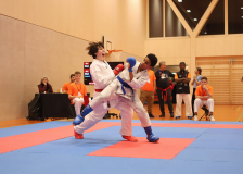 Phönix Cup, Staufen, 2024, Schweiz, Kumite, Shukokai Dojo Wetzikon, Team, Hayabusa Karate Do Basel, Patrick Graf