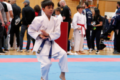2023, Austrian Junior Open, Salzburg, Walserfeldhalle, Noah Maurer, Kata, Österreich, Shukokai Dojo Wetzikon