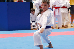 2023, Austrian Junior Open, Salzburg, Walserfeldhalle, Andrei Negara, Kata, Österreich, Shukokai Dojo Wetzikon