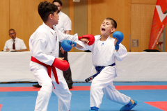 2023, Austrian Junior Open, Salzburg, Walserfeldhalle, Andrei Negara, Kumite, Österreich, Shukokai Dojo Wetzikon