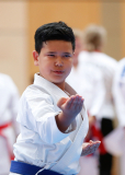 2025, Austrian Junior Open, Salzburg, Österreich, Kata, Ryu Vogler, Karate Akademie Zürich