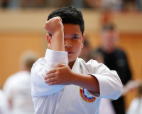 2025, Austrian Junior Open, Salzburg, Österreich, Kata, Ryu Vogler, Karate Akademie Zürich