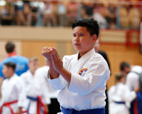 2025, Austrian Junior Open, Salzburg, Österreich, Kata, Ryu Vogler, Karate Akademie Zürich