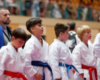 2025, Austrian Junior Open, Salzburg, Österreich, Kata, Shukokai Dojo Wetzikon, Arian Ajvazi