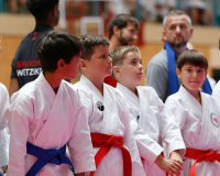 2025, Austrian Junior Open, Salzburg, Österreich, Kata, Shukokai Dojo Wetzikon, Jori Tahiri