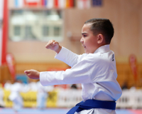2025, Austrian Junior Open, Salzburg, Österreich, Kata, Ikigaido Karate Fällanden, Gaetano Diblasi