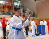 2025, Austrian Junior Open, Salzburg, Österreich, Kata, Jonas Schmid, Ryuei-ryu Karate Suisse