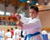 2025, Austrian Junior Open, Salzburg, Österreich, Kata, Jonas Schmid, Ryuei-ryu Karate Suisse