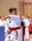 2025, Austrian Junior Open, Salzburg, Österreich, Kata, Shukokai Dojo Wetzikon, Jori Tahiri