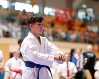 2025, Austrian Junior Open, Salzburg, Österreich, Kata, Shukokai Dojo Wetzikon, Arian Ajvazi