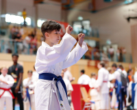 2025, Austrian Junior Open, Salzburg, Österreich, Kata, Shukokai Dojo Wetzikon, Arian Ajvazi
