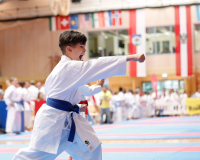 2025, Austrian Junior Open, Salzburg, Österreich, Kata, Shukokai Dojo Wetzikon, Arian Ajvazi