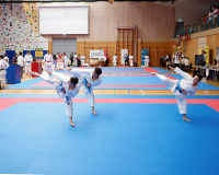 2025, Austrian Junior Open, Salzburg, Österreich, Kata, Team Kata, Shorin Ryu Karate Do Kloten, Adam Badran, Michel Costa Freitas, Evan Morgese
