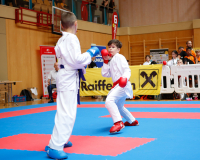 2025, Austrian Junior Open, Salzburg, Österreich, Kumite, Shukokai Dojo Wetzikon, Arian Ajvazi, David Popa, Leistungszentrum WIEN