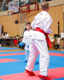 2025, Austrian Junior Open, Salzburg, Österreich, Kumite, Shukokai Dojo Wetzikon, Jori Tahiri, KARATE VORARLBERG, Rene Wilfinger