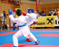2025, Austrian Junior Open, Salzburg, Österreich, Kumite, Shukokai Dojo Wetzikon, Valentin Kesselring, Champions-Karate Haßloch