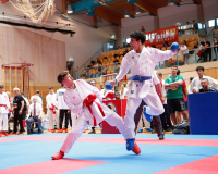 2025, Austrian Junior Open, Salzburg, Österreich, Kumite, Shukokai Dojo Wetzikon, Tobias Riedel, Ahmed Boukrouh, 1.CKKS Traunreut