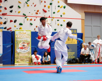 2025, Austrian Junior Open, Salzburg, Österreich, Kumite, Shukokai Dojo Wetzikon, Karl Ravas, Leon Janz, Karate Zanshin Academy