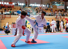 2025, Austrian Junior Open, Salzburg, Österreich, Kumite, Shukokai Dojo Wetzikon, Karl Ravas, Joaquim Silva, Kihon Karaté Club La Chaux-de-Fonds