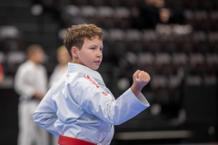 Kata,Basel,2026,International Basel Open Masters, Niels Fritzler,Shotokan Karate Dojo Spira e.V.