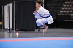 Kata,Basel,2026,International Basel Open Masters,Edgar Cosse,SSKF Karate Team