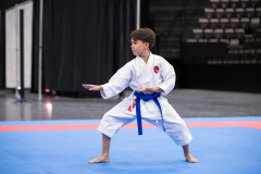Kata,Basel,2026,International Basel Open Masters,Edgar Cosse,SSKF Karate Team