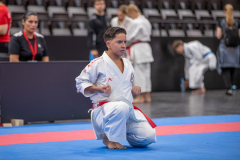 Kata,Basel,2026,International Basel Open Masters,Abolfazl Mosavi,Goju Ryu Karate Kraft Wien