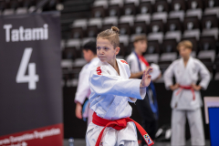 Kata,Basel,2026,International Basel Open Masters,Lenio Botta,RYUEI-RYU Karate Suisse