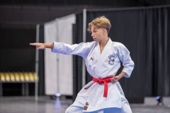 Kata,Basel,2026,International Basel Open Masters,Petar Vukovic,Shotokan Karateschule St. Gallen