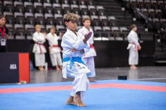 Kata,Basel,2026,International Basel Open Masters,Lukas Scheidegger,Ikigaido Karate Fällanden
