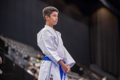 Kata,Basel,2026,International Basel Open Masters,Marvin Eisenhut,Ryuei-ryu Karate Suisse