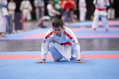 Kata,Basel,2026,International Basel Open Masters,Colin McGuinness,Shukokai Dojo Wetzikon-Volketswil-Winterthur