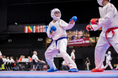 Kumite,Basel,2026,International Basel Open Masters,Yannis Manoussis,Karate TAISHO